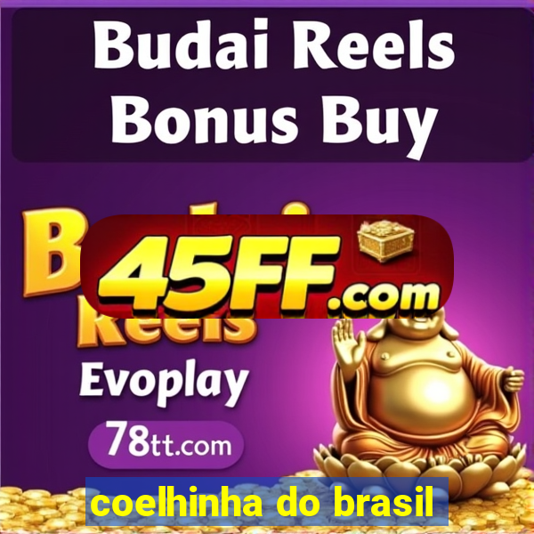 coelhinha do brasil